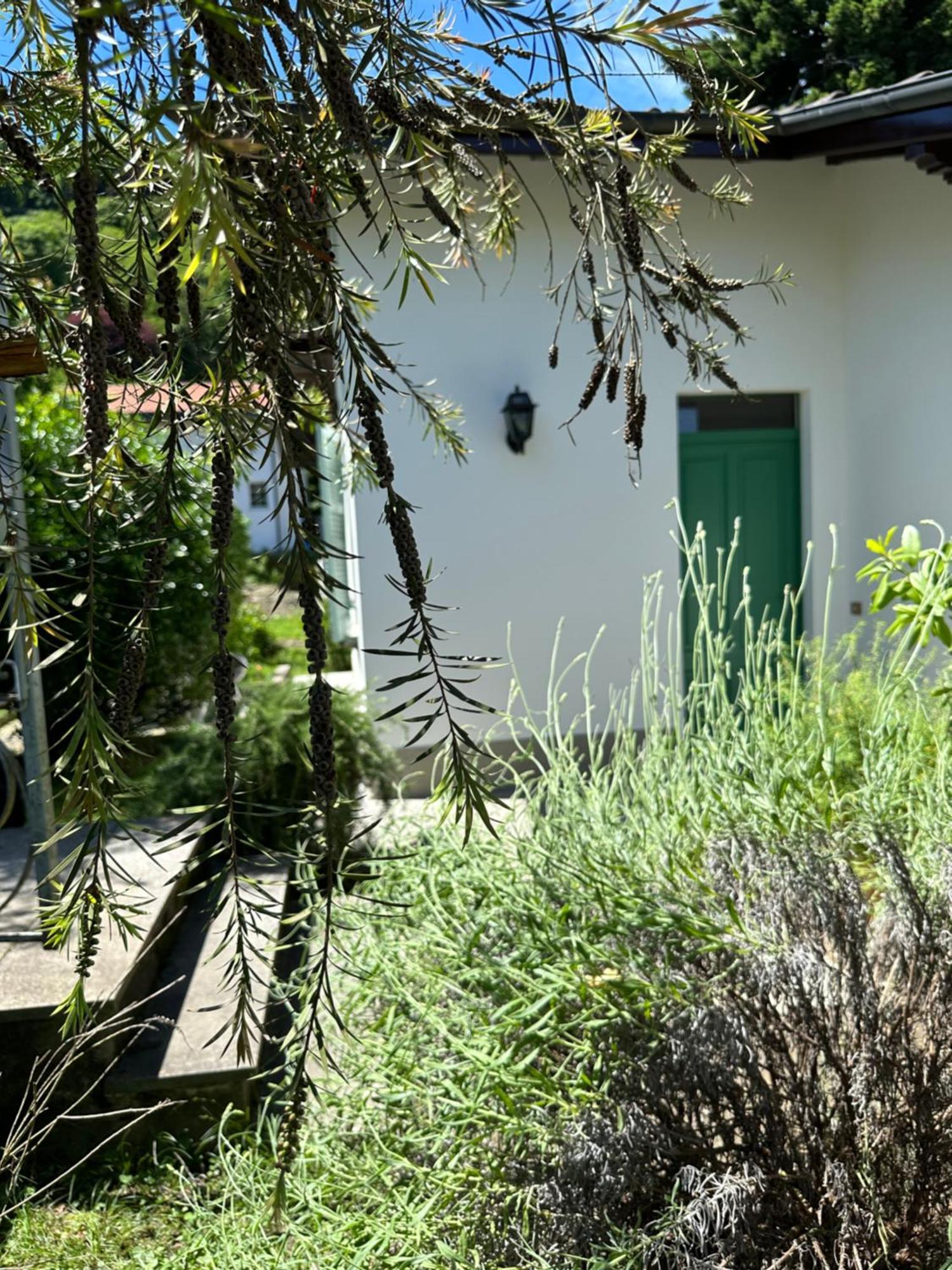 Casa Del Custode: Renovated Flat With Garden In A Villa Near The Lake Stresa Exteriér fotografie